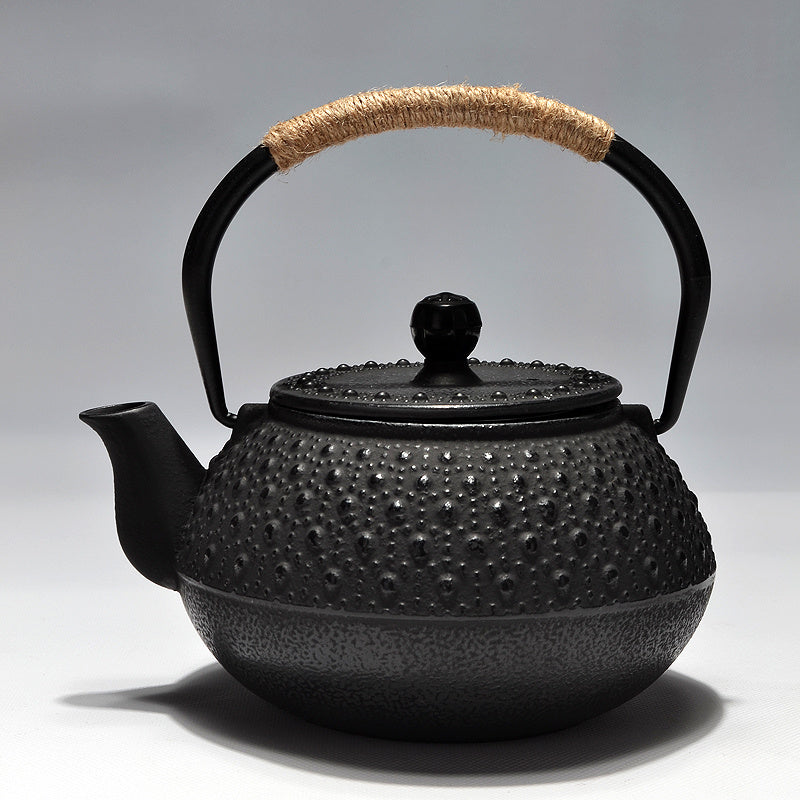 Japanese Cast Iron Pot