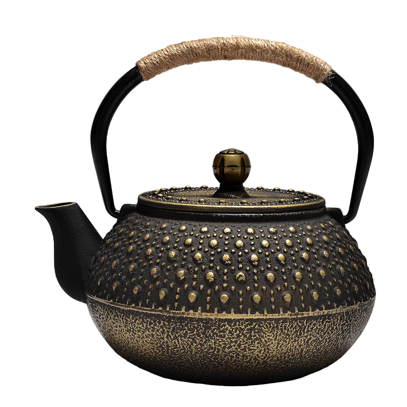 Japanese Cast Iron Pot